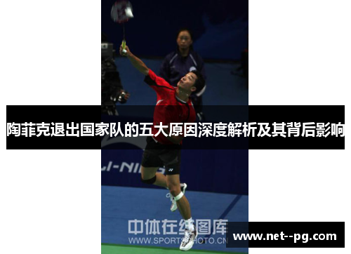 陶菲克退出国家队的五大原因深度解析及其背后影响 陶菲克退出国家队的五大原因深度解析及其背后影响