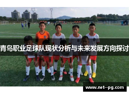 青岛职业足球队现状分析与未来发展方向探讨