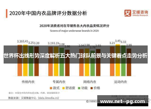 世界杯出线形势深度解析五大热门球队前景与关键看点走势分析