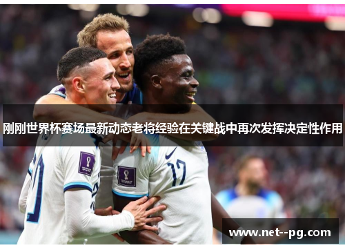 刚刚世界杯赛场最新动态老将经验在关键战中再次发挥决定性作用