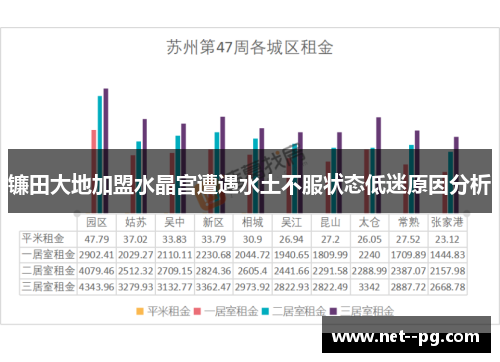 镰田大地加盟水晶宫遭遇水土不服状态低迷原因分析