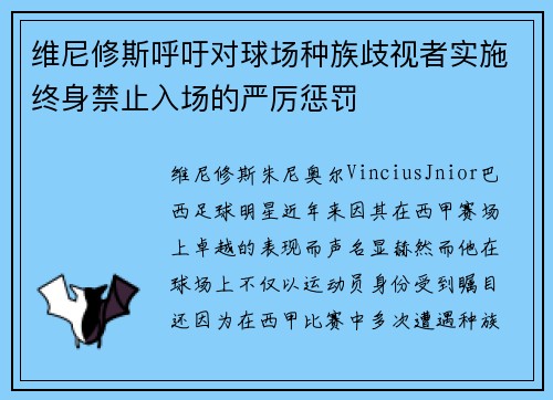 维尼修斯呼吁对球场种族歧视者实施终身禁止入场的严厉惩罚 维尼修斯呼吁对球场种族歧视者实施终身禁止入场的严厉惩罚